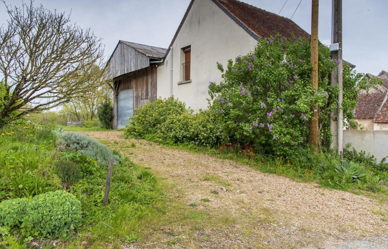 Le Beverly A 9 Min De Beauval Chateauvieux  ภายนอก รูปภาพ